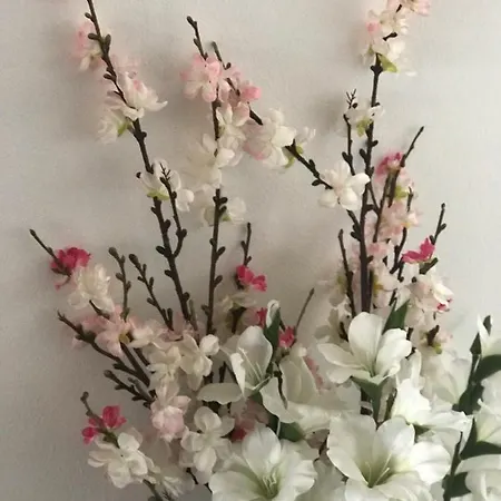 La Casa Della Luce *