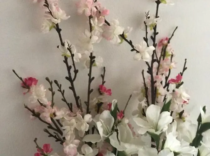 La Casa Della Luce *