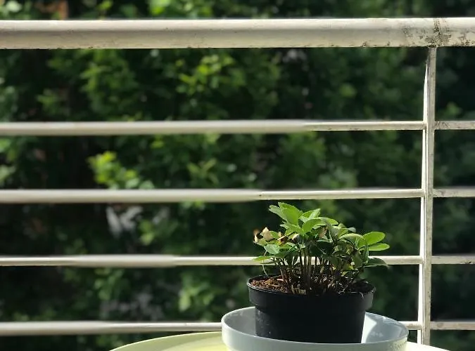 La Casa Della Luce * Werona